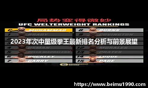 2023年次中量级拳王最新排名分析与前景展望